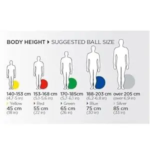 A diagram of the body height and ball size.